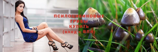 дживик Михайловка