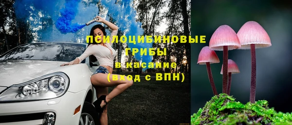дживик Михайловка